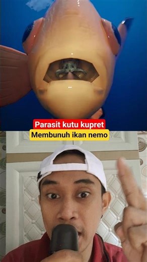 This Nemo fish's mouth is covered in lice #funny #nemo #sea #fish #science #uniquefacts