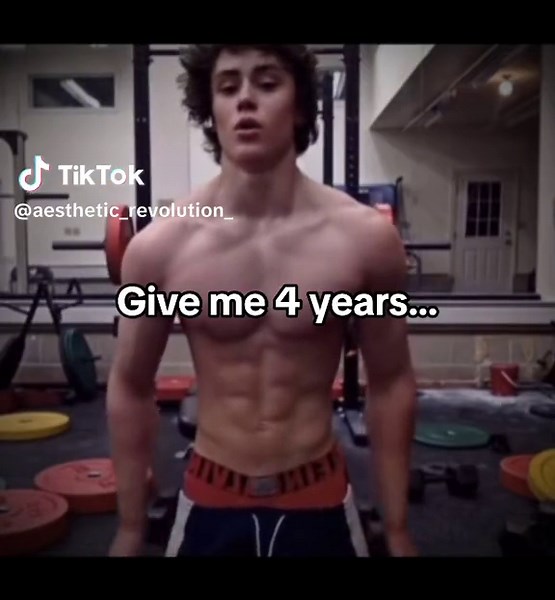 David Laid Gym Transformation: 4-Year Fitness Journey