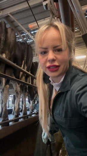 LIVE COW FARM 🐄 | REAL DAIRY FARM LIFE