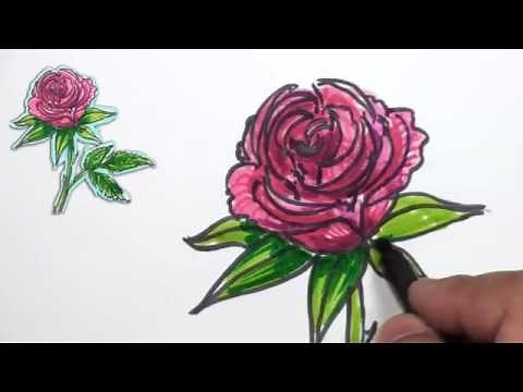 How to Draw a Rose - Simple Red Rose Drawing Lesson | MAT