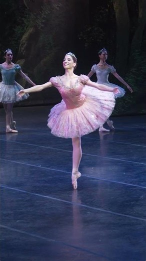 Step Inside Don Quixote at La Scala