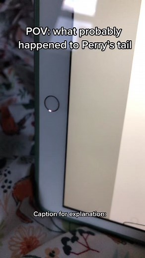 For some content for those who don’t know Petey has a flat tail and nobody really knows why it’s flat, but I have a theory. I think one day when Petey was running around the house being a little kid he bumped into a shelf and accidentally knocked over something. His dad got really pissed at him and chopped his tail off (That explains the blood) (also explains why there was bandages on his tail when he was little) also, I haven’t made a Dogman video in so long and this is my first time doing it d