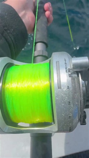 Yellowfin Tuna on Platypus Pre-Test Line. #fishing #shorts #tunafishing #fishingline #yellowfintuna