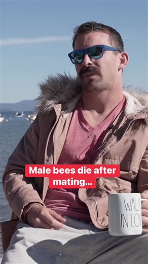 264K views · 2.9K reactions | Diarrhea #dadjokes #docktok | Logan Lisle | Facebook