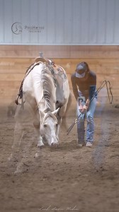 Have you ever felt the connection of liberty before? That bond that goes beyond training to understanding and connection? 🥰 When we use brain-based horsemanship, we learn how horses think and interact, letting us build that deep connection and willing partnership. It's this understanding that really transforms our relationship together. It's a bond, it's deliberate and immense. And for us, it always gives us something to look forward to. What's your liberty story? ✨ 🎥 @leah_Lazic_media #libert