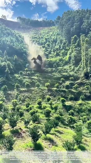 Rolling Down the Ridge: How an Excavator Tumbled from a Forested Slope