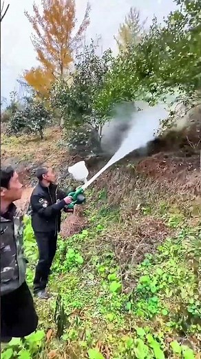 Farmers use portable dry powder sprayers to apply lime powder to the fruit trees in the orchard.