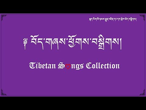 Tibetan Songs Collection