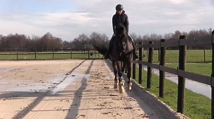 World Champion Para-dressage, Rixt van der Horst, talks about how the TRT method has helped her and why she's so positive about it. Rixt, good luck with the preparation for Rio! | TRTmethod