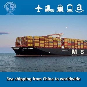 [Hot Item] Professional International Shipping Agent From China to Cape Town South Africa