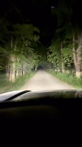 4.7K views · 74 reactions | POV: You just installed an SS3 Pro Ditch Light Kit on your rig and hit the trails!  For a limited time, save 15% on Pro and Max Stage Series pods and kits through 5/27. Get yours here ➡️ https://shorturl.at/RZHmM | Diode Dynamics | Facebook