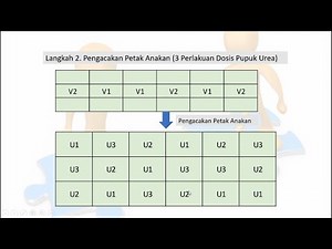 Pengacakan Denah Split Plot Design (RPT RAL), Praktis Faham 10 Menit