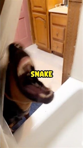 BrO ThaT's NOT a SnaKe! 🐍🚿