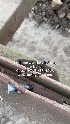 Embracing British Farming and Farm Life