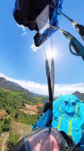 Flying over the jungle