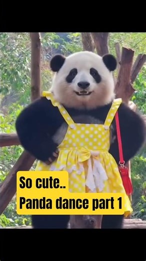 panda dance part 1