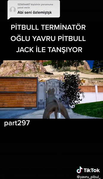 Virtual Simulation of a Playful Pitbull in Action