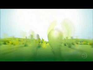 Fifa World Cup 2014 Intro