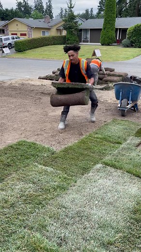 Transform Your Lawn with Fresh Sod Installation