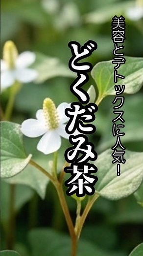 どくだみ茶の凄すぎる効果5選🌿 最強の「毒出し」健康茶の効果が凄すぎた🌿 #shorts #健康 #デトックス