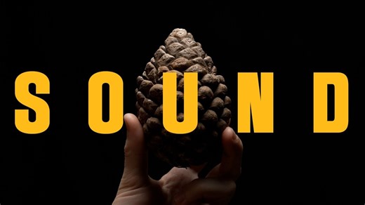 A Filmmaker Explains Just How Important Sound is in Movies