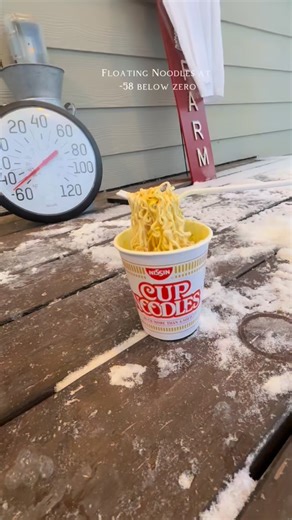 Somers In Alaska on Instagram: "Floating Noddles at -60 below zero😳🍜 #frozennoodle #floatingnoodles #60belowzero #alaska"