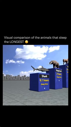 History 📌 Entertainment 📽️ News 🎤 | This visual compares the sleep durations of various animals, from sharks, which rest for about 8 hours, to water bears (tardigrades), which... | Instagram