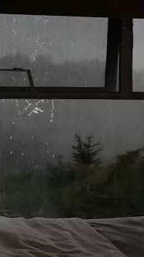 Rain and Thunder Sounds for Sleep | Relaxing Thunderstorm Ambience for Deep Rest