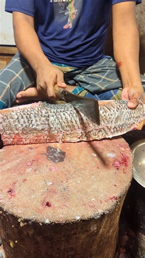 Giant Lakka Fish Cutting Skills In Bangladesh Fish Market #shorts