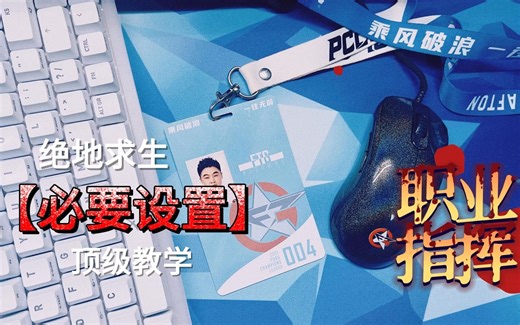 PUBG必要设置