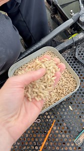 125K views · 819 reactions |  REDS or WHITES ⚪️❓ here is what you should use when in a nutshell…  | Catch More Media | Facebook