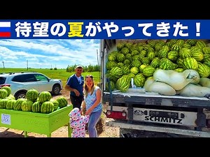 The long-awaited summer has arrived! (Watermelon sales, dachas, etc.)
