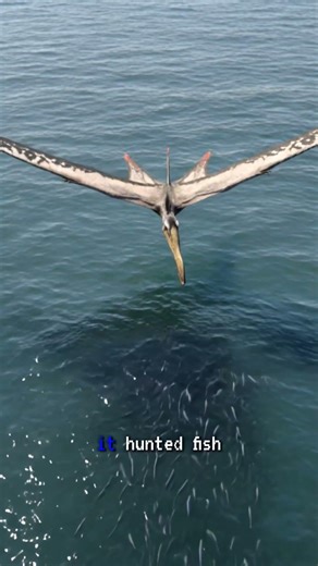 This Pterosaur Actually Flew Across the Atlantic. We Can Prove It. #Shorts