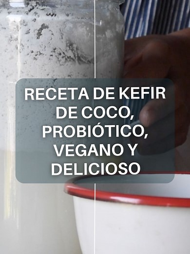 Receta vegana de kéfir de coco: probióticos deliciosos