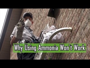 Why Using Ammonia To Evict Wildlife Won't Work