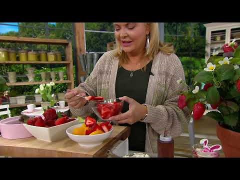 Barbara King 6-Piece Strawberry Whopper Live Plants on QVC
