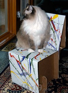 Elia Mini Cardboard Chair Kit: Assemble your very own cardboard chair