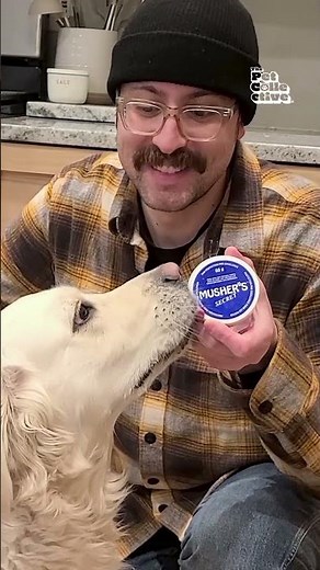 Paw Picks: Musher's Secret Paw Balm