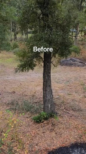 🌳🚫🌳 WE DONT BEAT AROUND THE BRUSH!🌳🚫🌳 HOA - COMMUNITIES - COMMERCIAL - RESIDENTIAL License/ insured - WORKMANS COMP - USDOT COMPLAINT - DRUG FREE WORKPLACE - NO SUB CONTRACTORS! Let’s mitigate your fire fuel today and push your wood line back to a safe place for near-by structures. Yes you always see our ad - because we use the proper equipment and you can maintain it after we leave means we don’t have returning customers ☹️ No job too big or too small! Upfront honest pricing. No fees. No 