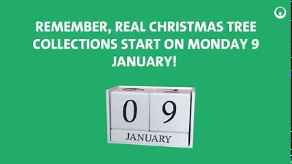 Our dedicated real Christmas tree collection service will be...