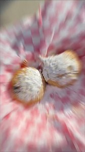 3.8K views · 16 reactions | Soakin’ up the sun here at The Funplex...