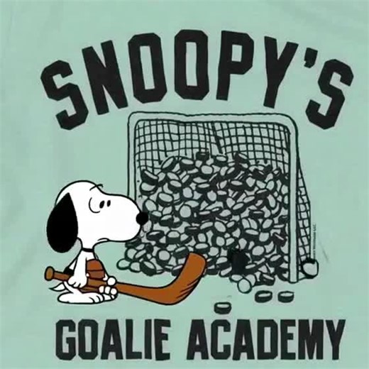 #peanutssnoopyedit #snoopycollections #snoopy #peanuts #peanutssnoopy🥰