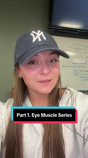 Exploring the Lateral Rectus Eye Muscle