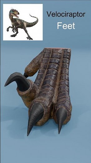 Jurassic World Rebirth Aquilops Feet vs Distortus rex Feet