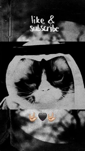 immortal _ grumpy cat 🖤🤟🏼🖤 #metal #metalmusic #ambientmetal #blackmetal #thrashmetal #music