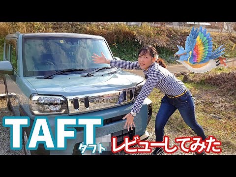 【車紹介】一生ロードバイク初心者の者が車紹介してみた。果たしてダイハツTAFTにロードバイクは積めるのか⁉️