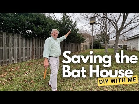 Bat House Rescue: Repairing & Prepping for Spring 2026
