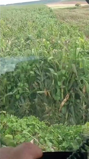 The operator's number 1 enemy 😱💪 #eliteagropecuaria #automobile #agro #farming