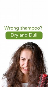 Mainit. Maalikabok. Humid. No wonder buhaghag and dry are our default hair moods. 😅☀️ Good thing there’s Real Aloe care that actually works. 🌿 ✨ Nourishing Shampoo – gentle hydration 🧴 Nourishing Conditioner – smooth & soft finish 💧 Hair & Scalp Tonic – strengthens roots & supports regrowth Real Aloe. Real Results. 💚 Available at Watsons 𝗚𝗹𝗼𝘄 𝘄𝗶𝘁𝗵 𝘂𝘀 – 𝗷𝗼𝗶𝗻 𝘁𝗵𝗲 𝗔𝗹𝗼𝗗𝗲𝗿𝗺𝗮 𝗖𝗹𝘂𝗯! ✨https://forms.gle/WDE5ubvTNemcQiSi6 - SHOP HERE ⬇️ https://linktr.ee/Aloderma_PH 🌐 ww