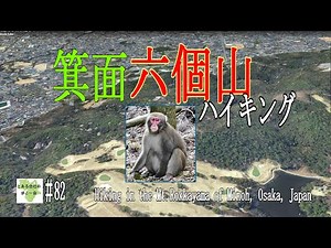 箕面六個山（箕面山）ハイキング【とある会社の歩こー会】＃82 2024.10 Mt. Rokkayama Mt. Minooyama Hike